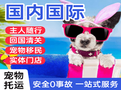 佛山沙堤机场邮寄国际宠物托运 【国